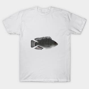 Blue Spotted Tilapia T-Shirt